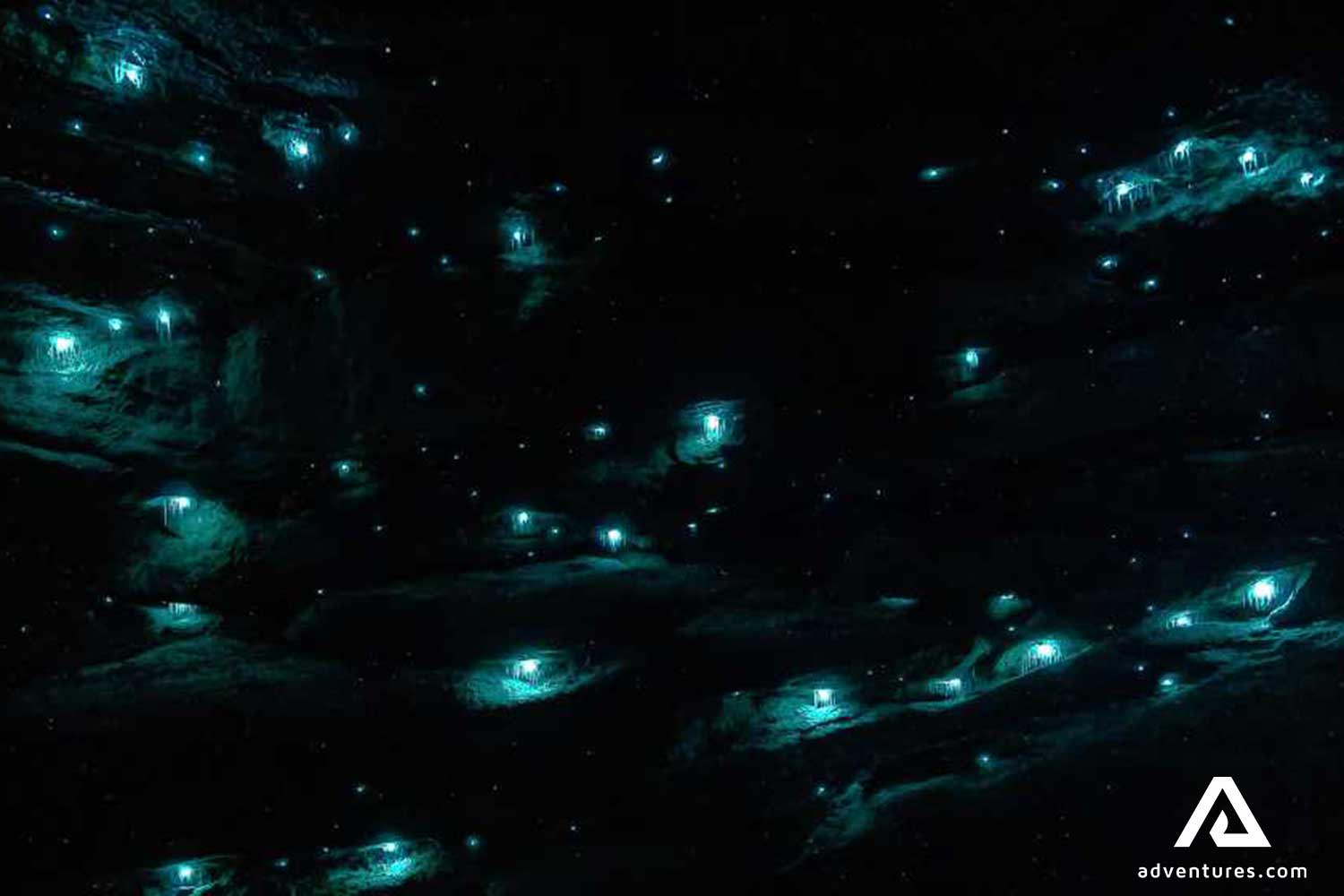 bright Glowworm Tunnel in australia