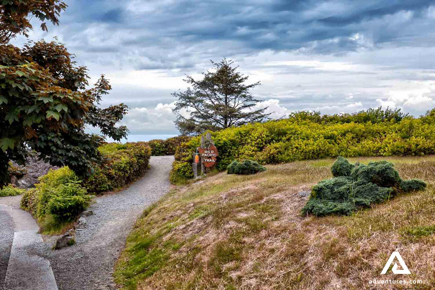 wild pacific trail for hiking