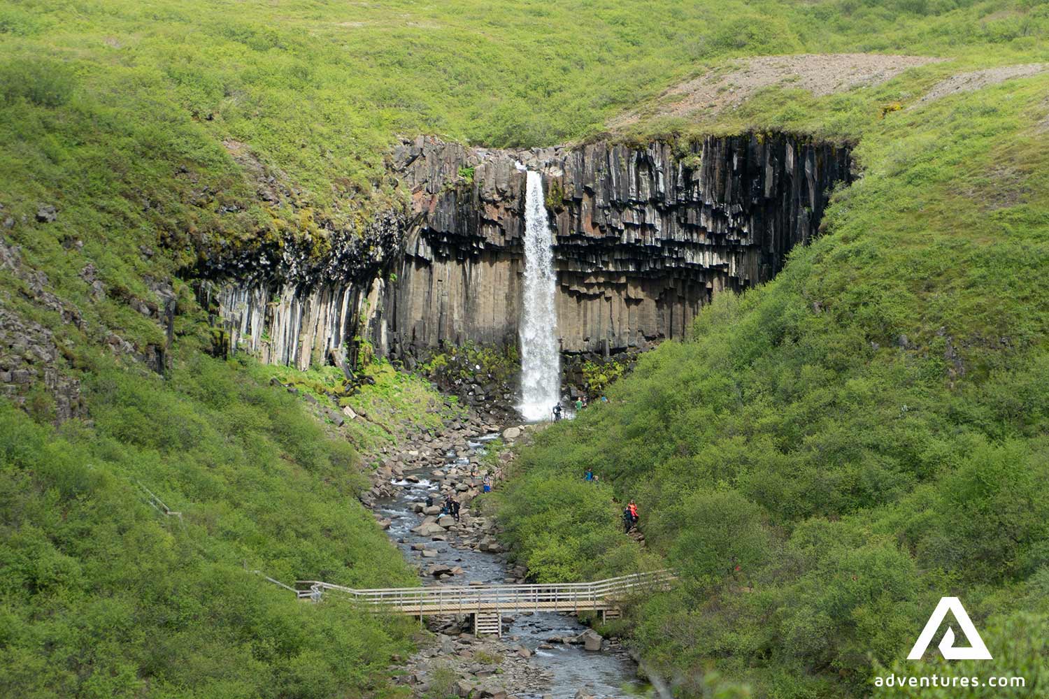 green bushes around svartifoss waterfall in iceland
