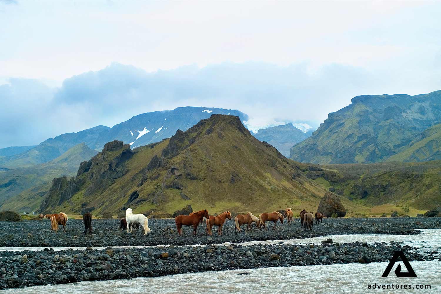horses roaming near thorsmork valley in iceland