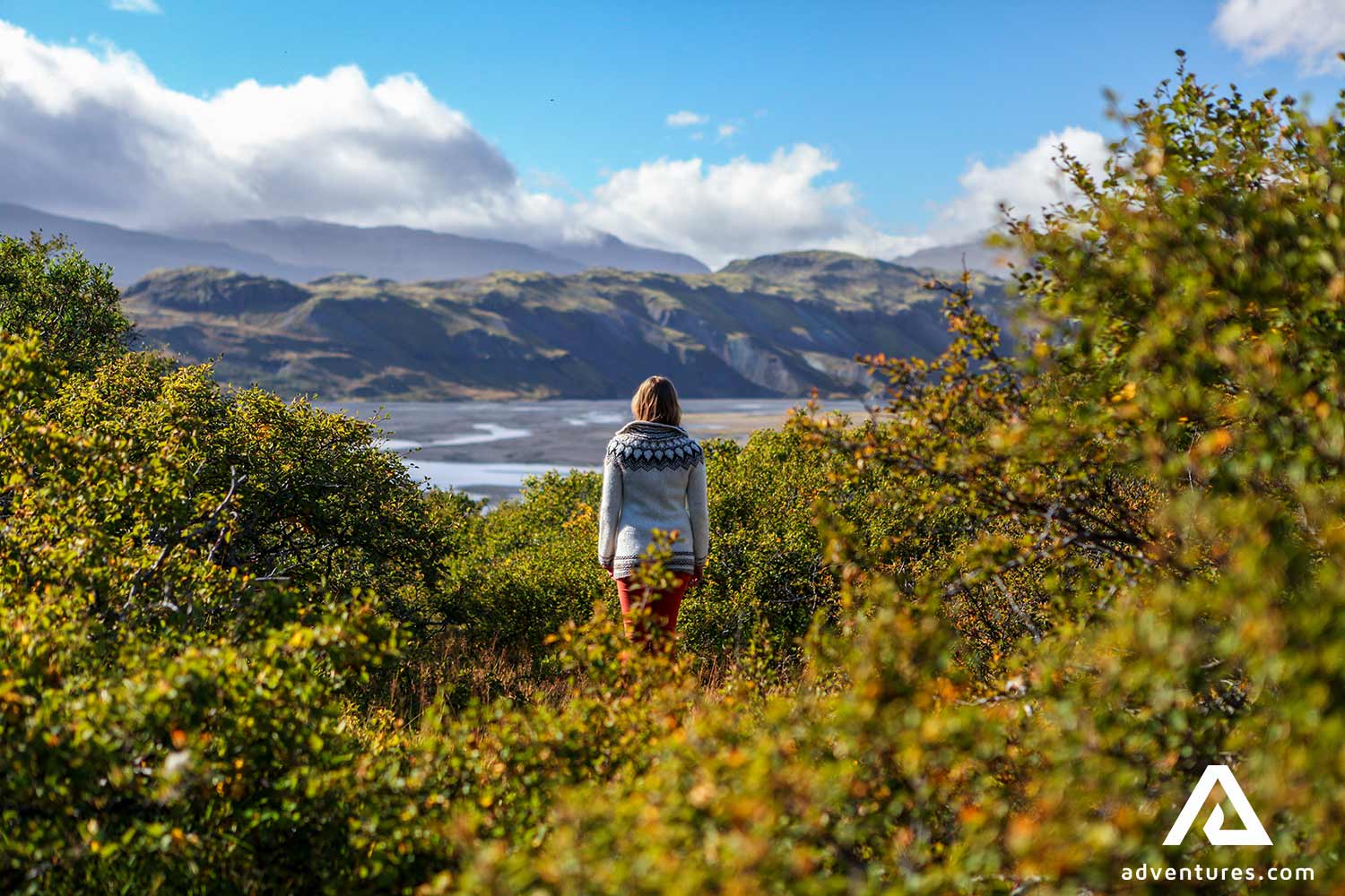 woman standing in between bushes in thorsmork valley in iceland