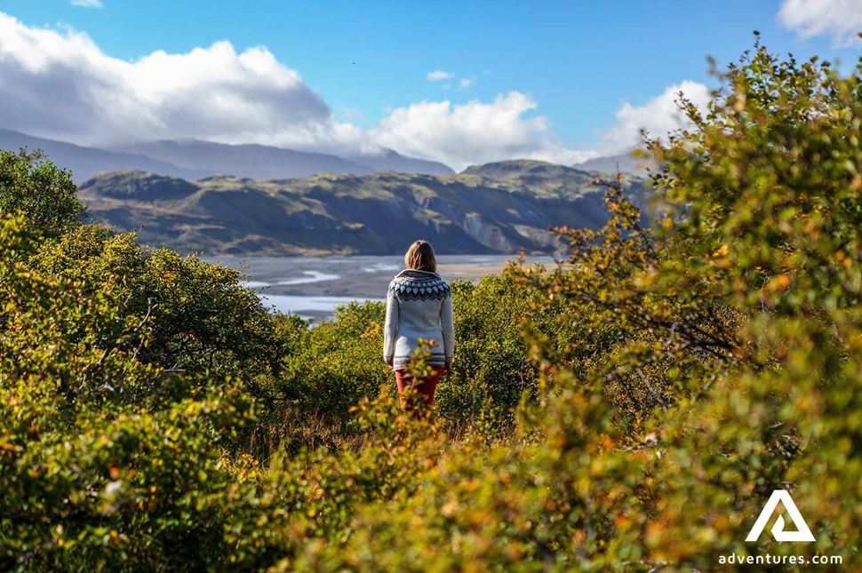 woman standing in between bushes in thorsmork woman standing in between bushes in thorsmork valley in iceland