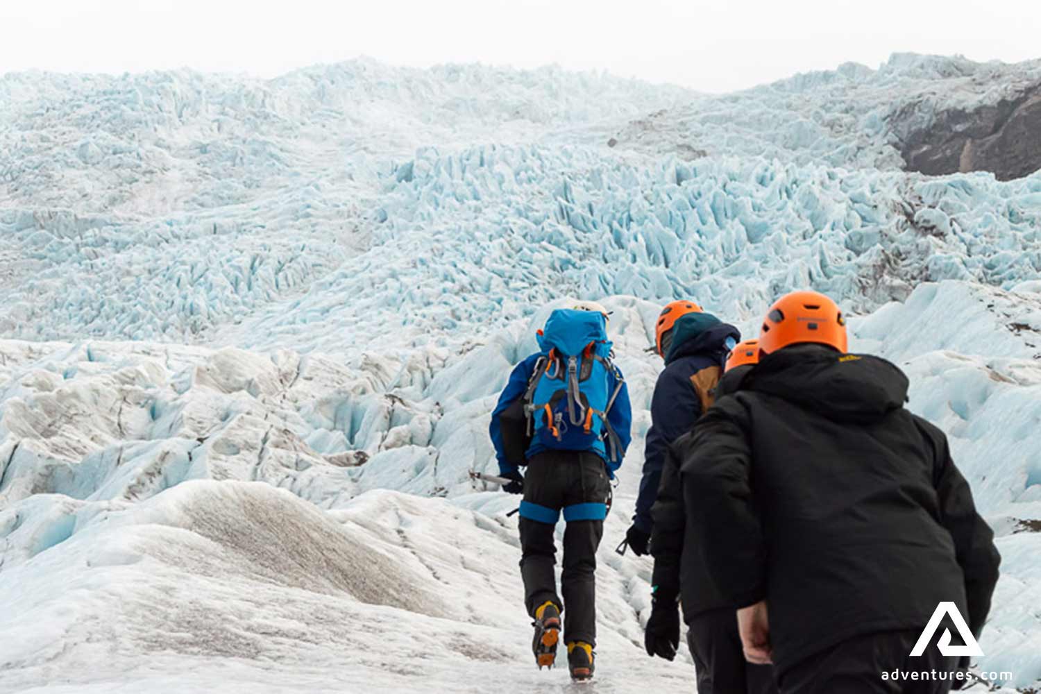 tourists hiking with a guide