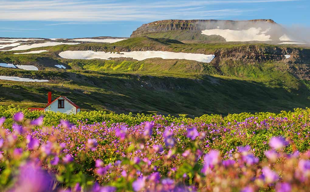 Hornstrandir Nature Reserve