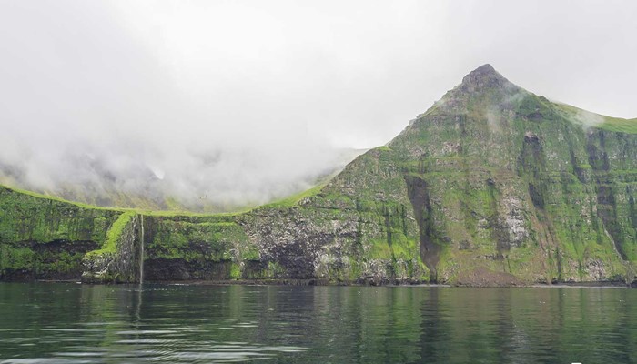 Foggy cliffs in Westfjords