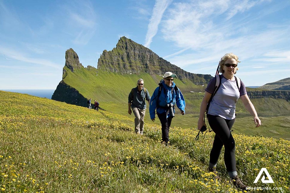 People walking to Hornstradir cliffs in Westfjords