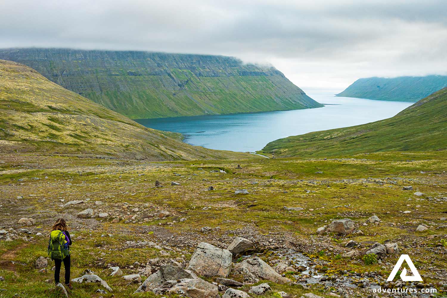 Fjords view from a mountain