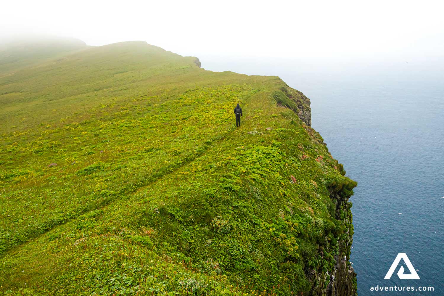 Foggy cliff view in Westfjords