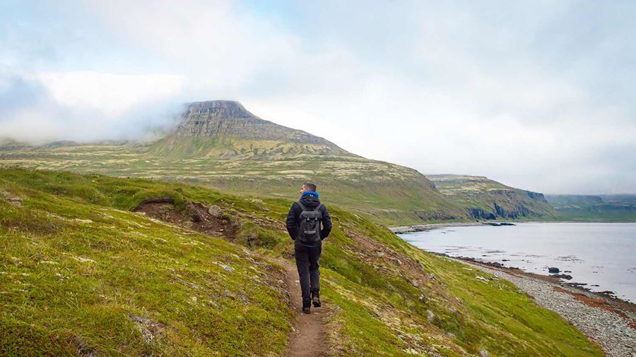 Hiking the path in the Westfjords