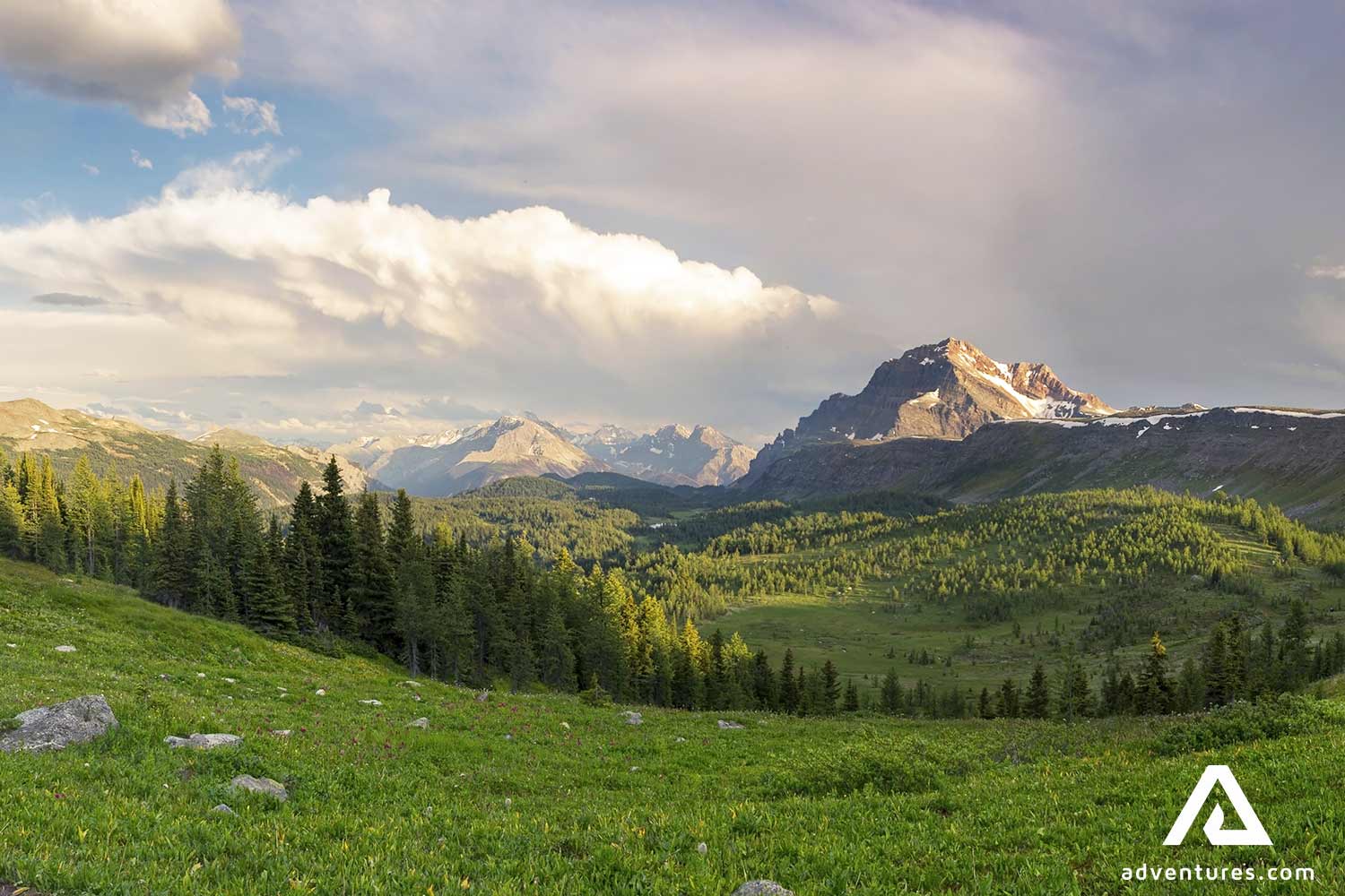 lush summer healy pass meadows
