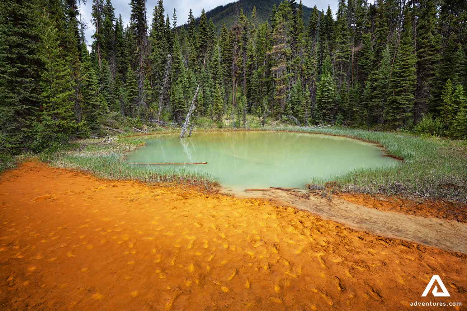 Paint Pots Natural Baisins near canmore