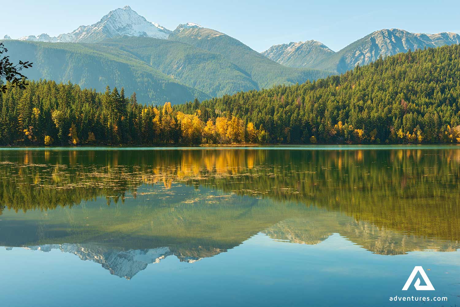 forest reflections on gun lake