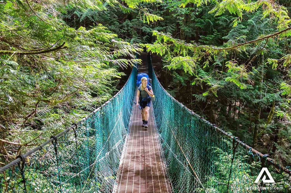 crossing a long suspension bridge in a canadian forest