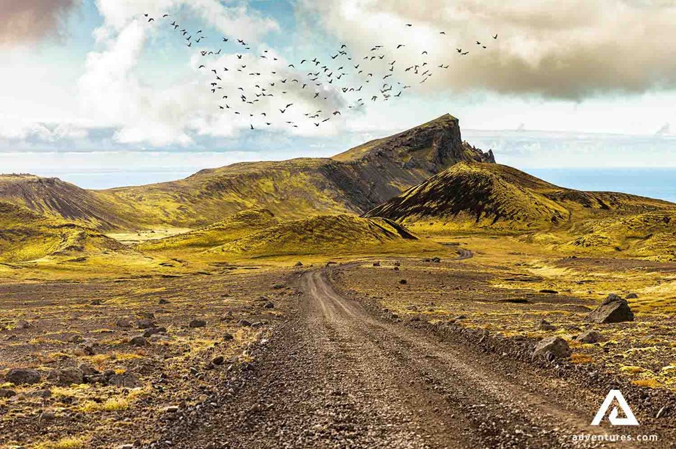 birds flying above gravel road in reykjanes