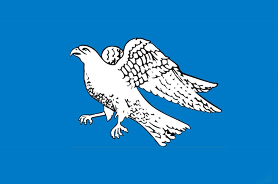 Icelandic Falcon Old Flag