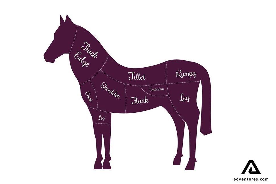 icelandic horse butcher cut scheme 