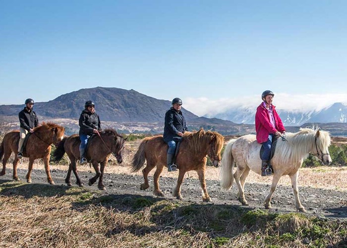 Équitation en Islande