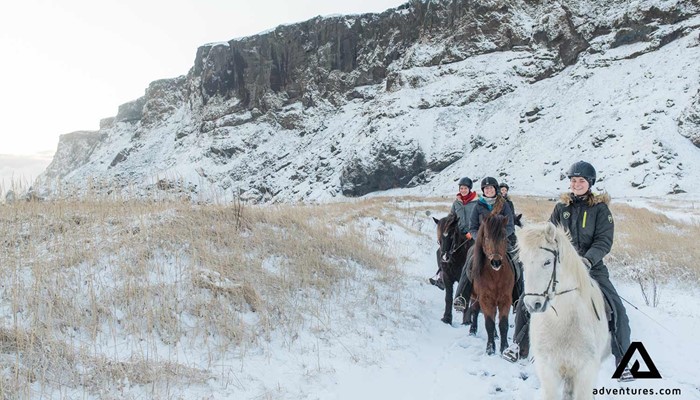 horse riding tour in winter in the south coast