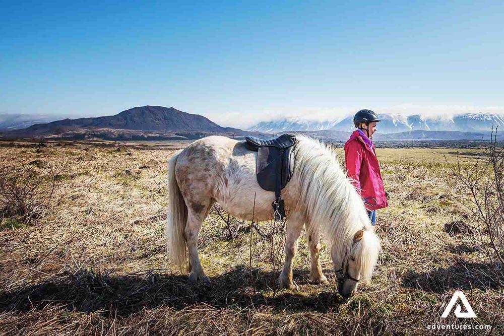 a woman near a horse in Iceland