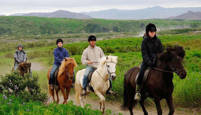 riding icelandic horses on a gravel road in summer