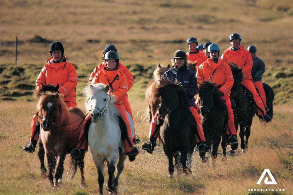 big group of people riding horses in Iceland