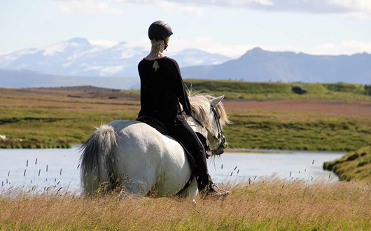 Balade de Vikings – Equitation dans le nord de l’Islande