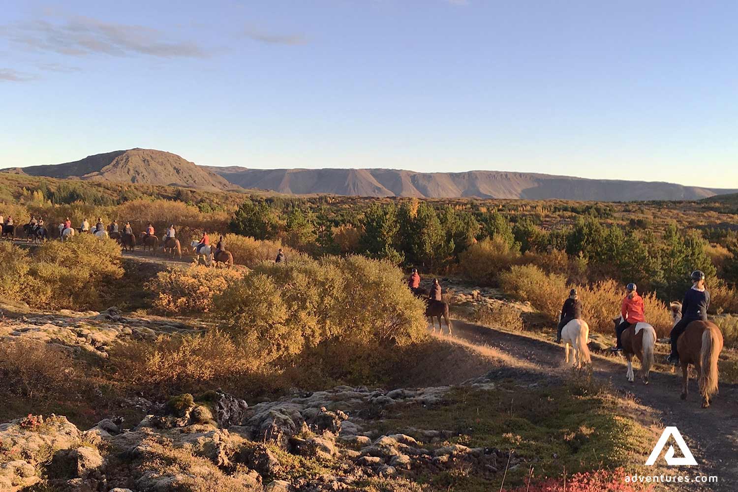 riding icelandic horse at sunset in reykjanes