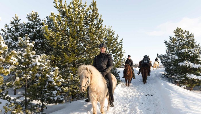 small tour group riding horses in winter