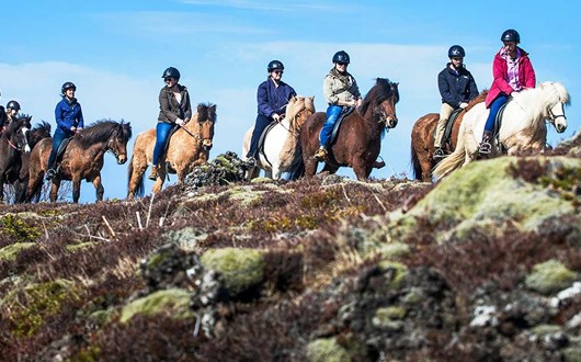 Equitation en Islande – Champs de lave