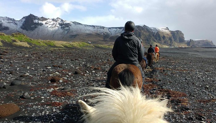 riding horses on a black sand beach in the south coast