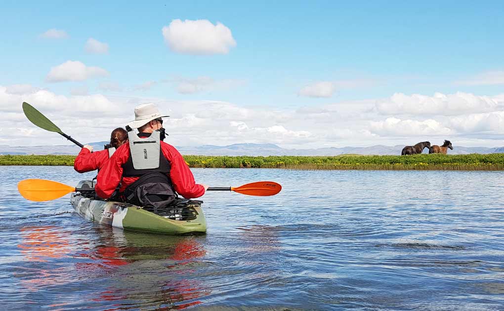 Easy Kayak Tour in Stokkseyri
