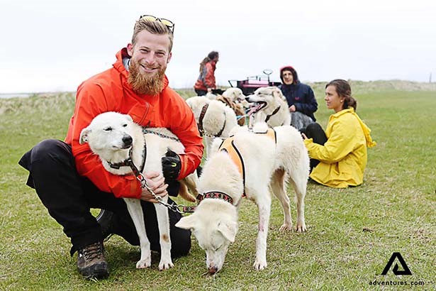 a man petting sled dogs in iceland