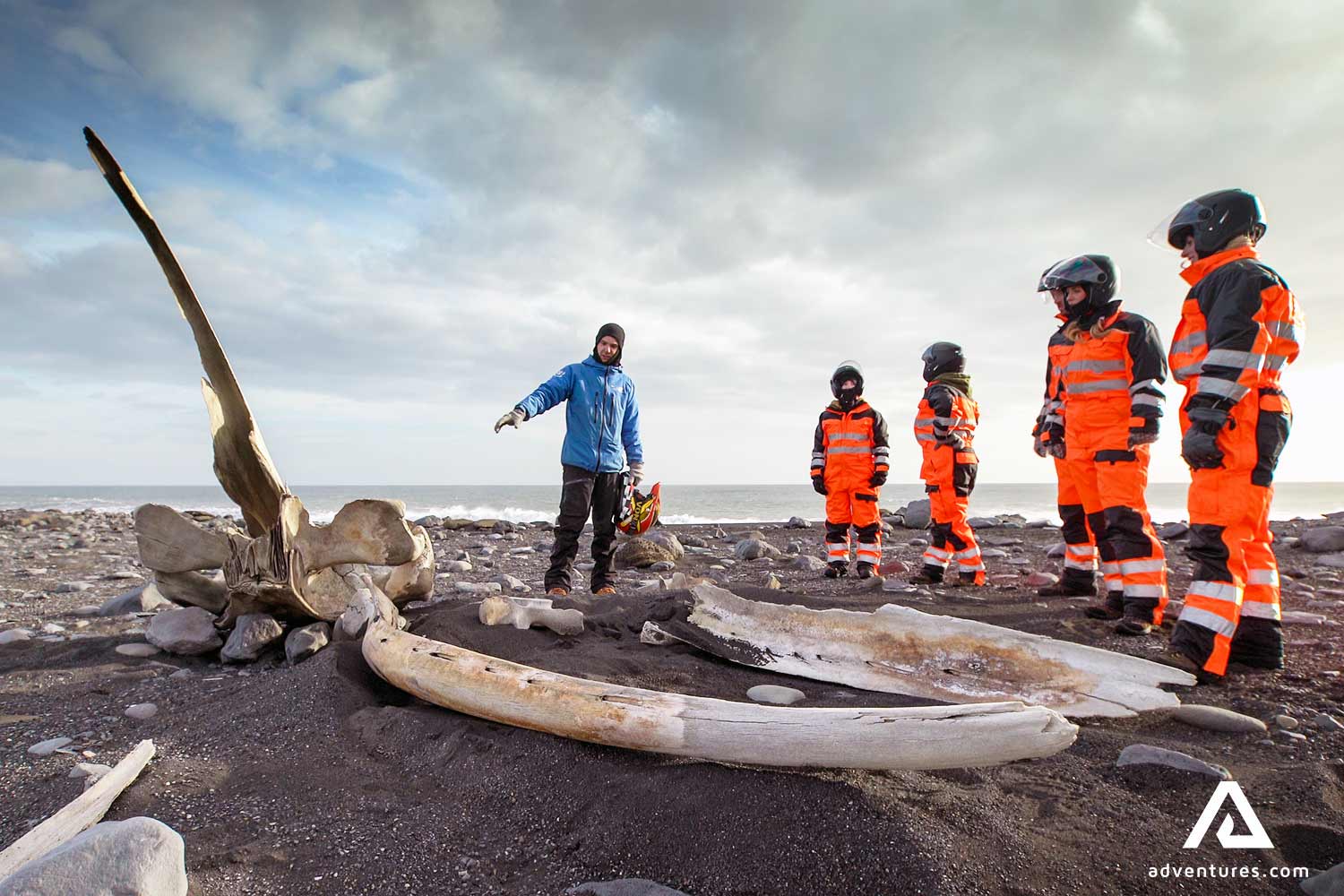 guide showing whale bones on an atv tour