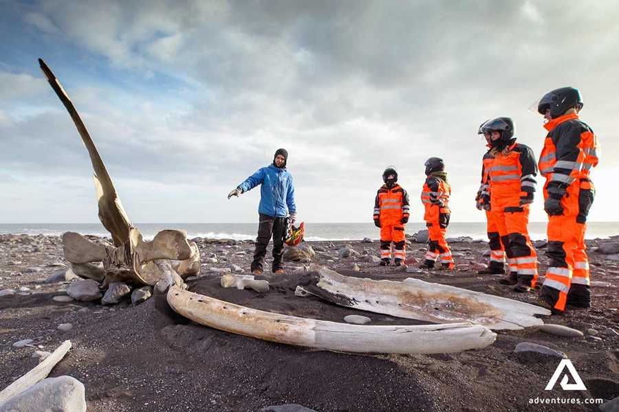 guide showing whale bones