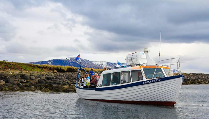 boat tour near Reykjavik in Iceland