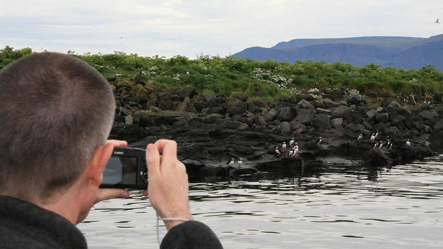 man taking pictures of puffin