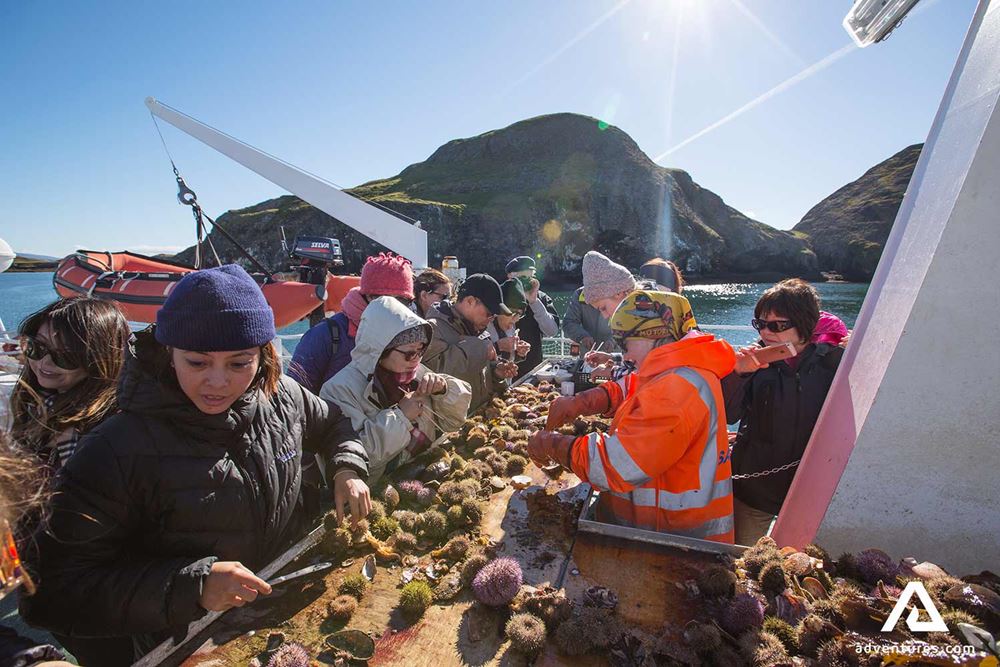 group of people sorting seafood on a tour