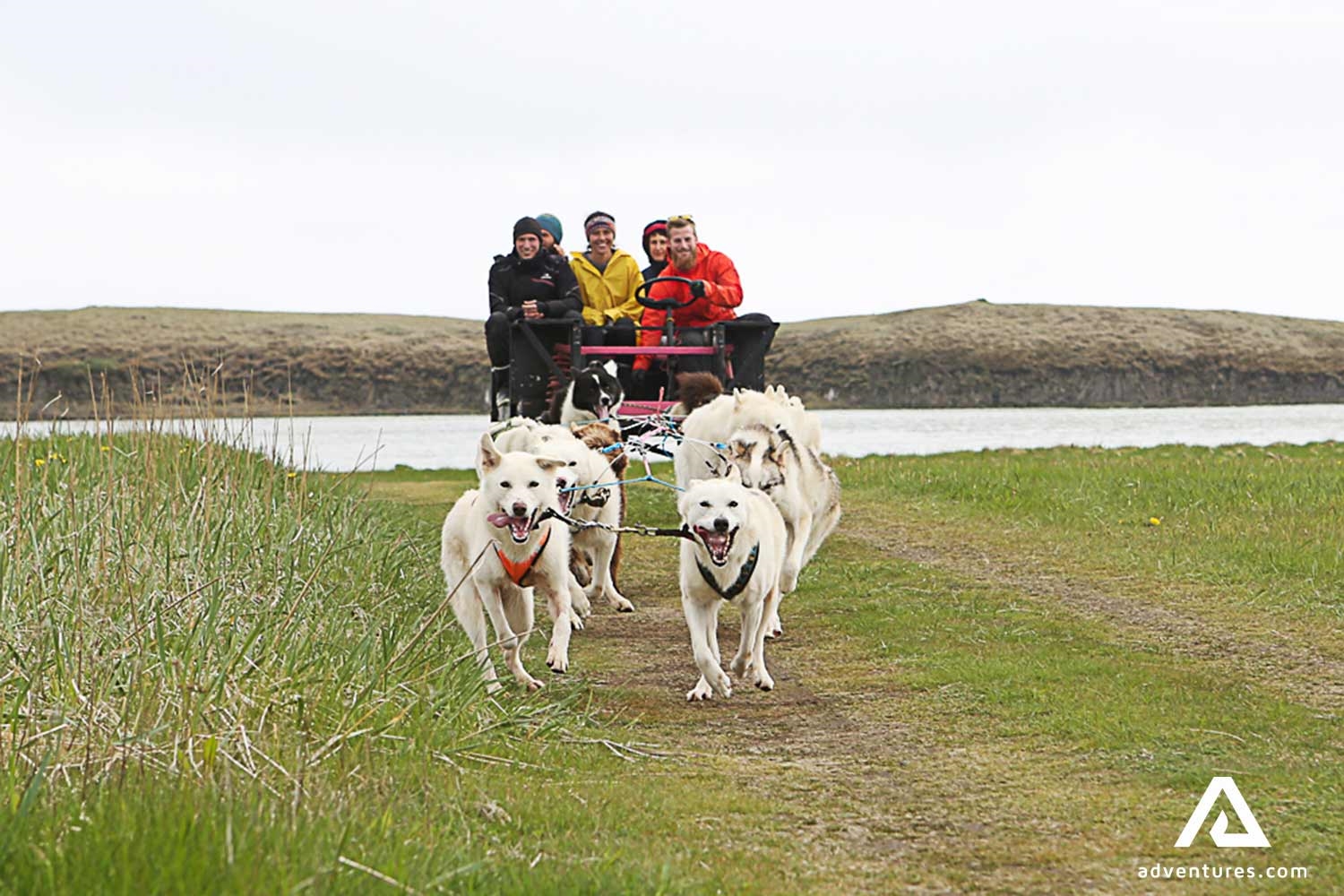 Dog Sledding Day Tour Self Drive Tour Iceland