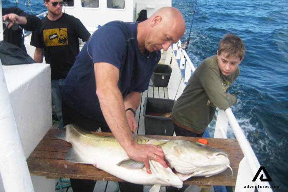 cutting a big fish on a boat