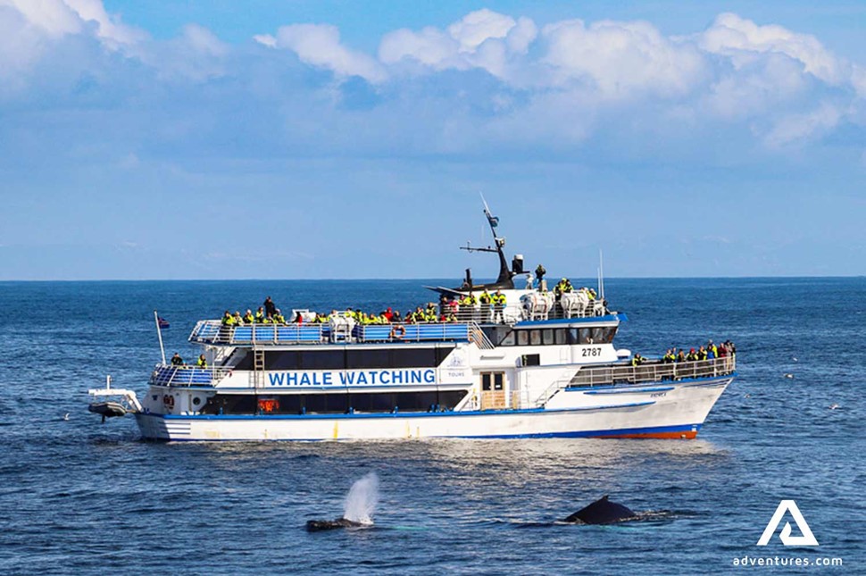 a big boat whale watching tour near Reykjavik