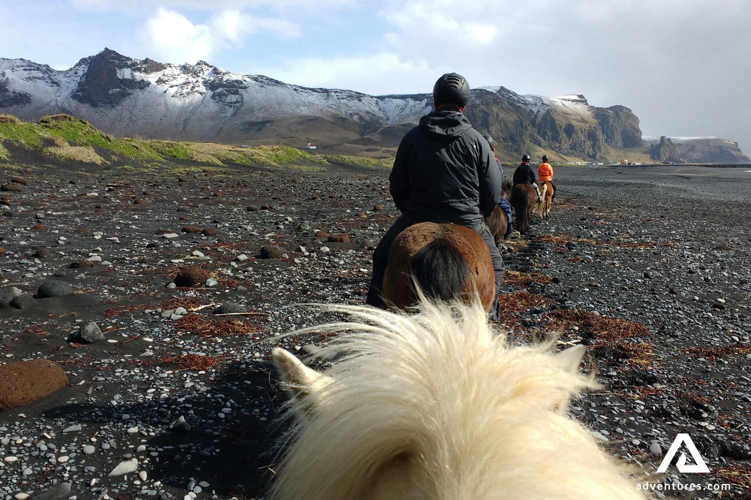 Horse Adventure on Black Sand Beach in Iceland