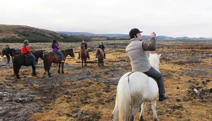 Icelandic Horses Riding Tour