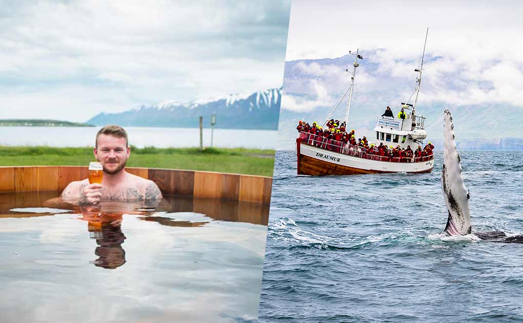 Wale beobachten & Bier-Spa