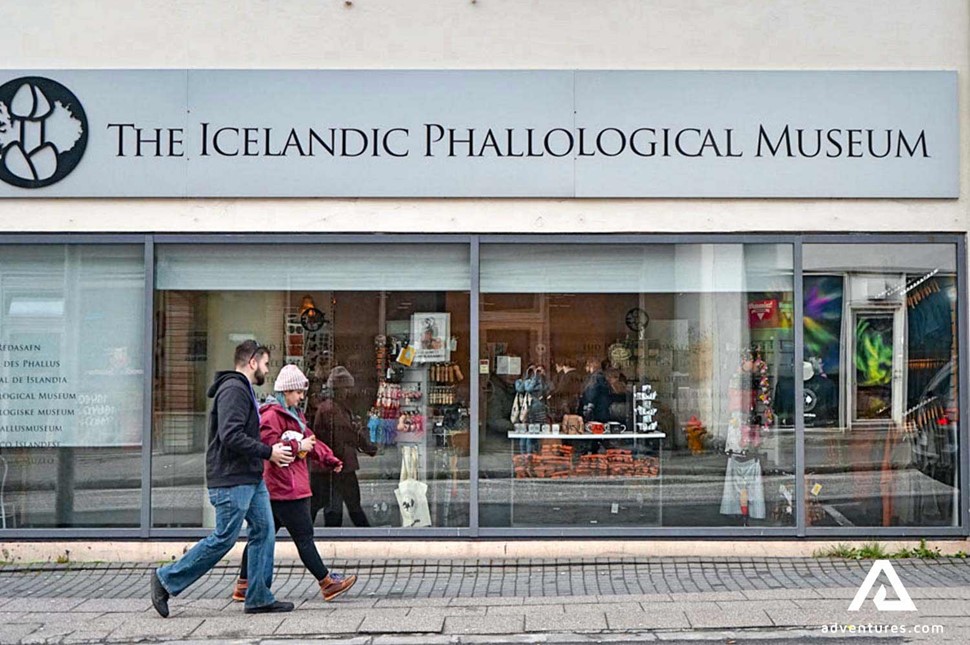 Icelandic Phallological Museum in reykjavik