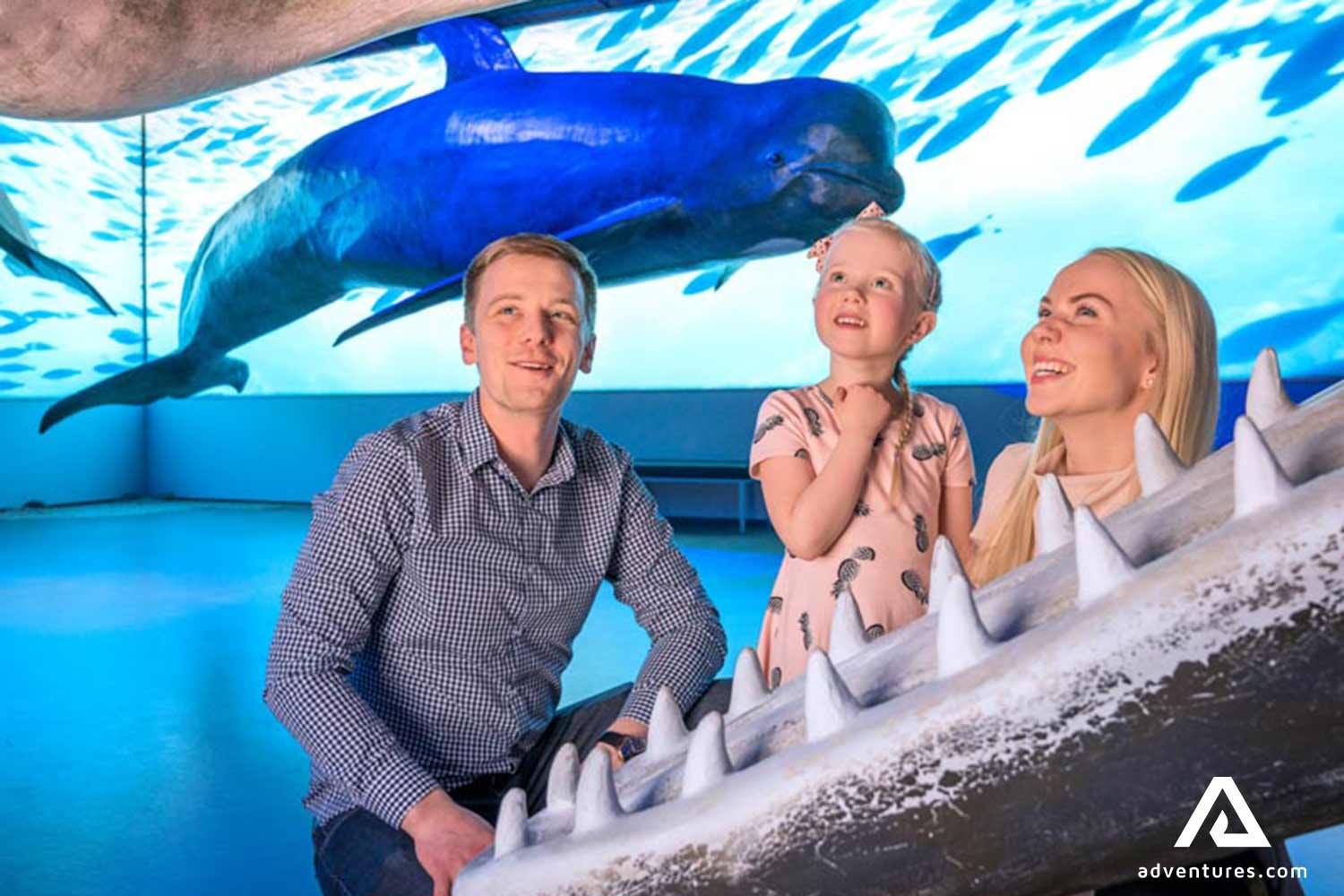 parents with daughter looking at whale skeleton in iceland