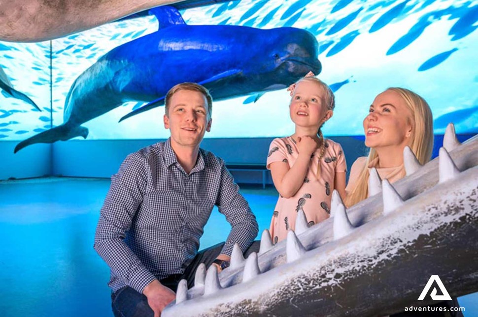 parents with daughter looking at whale skeleton in iceland