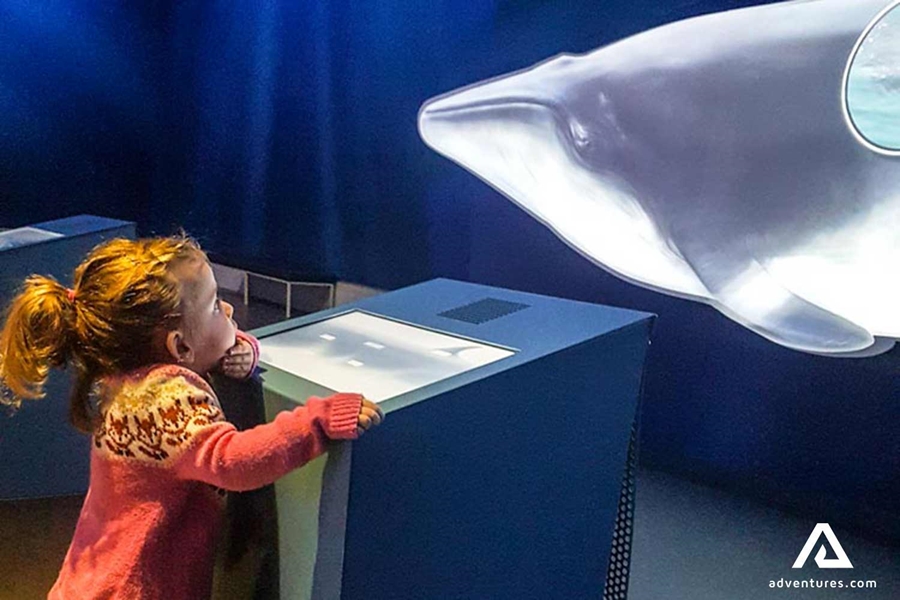 girl curiously looking at a whale