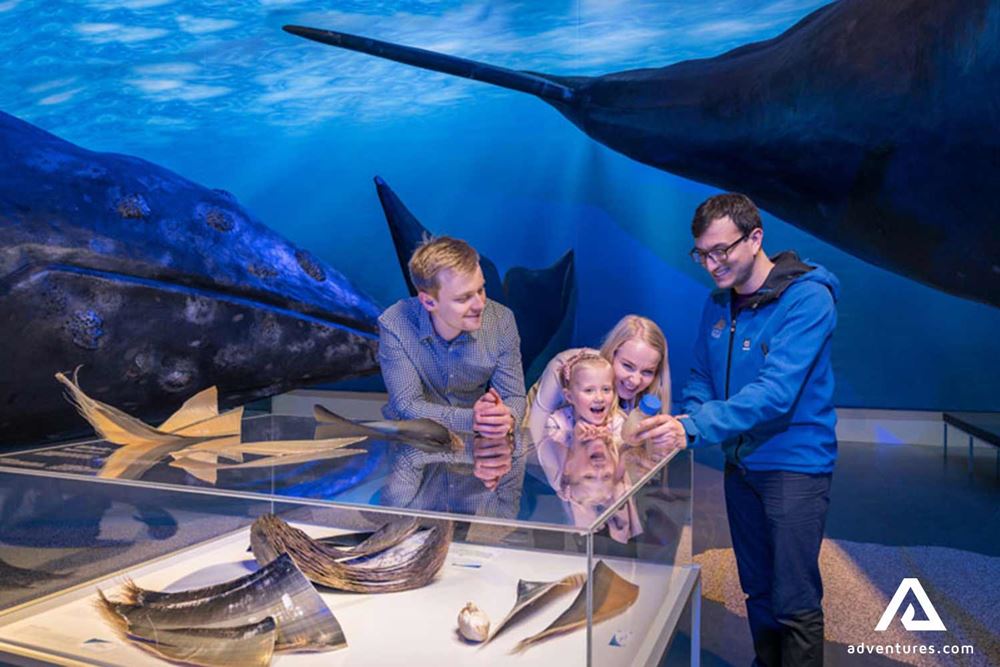 family with a guide exploring whale museum