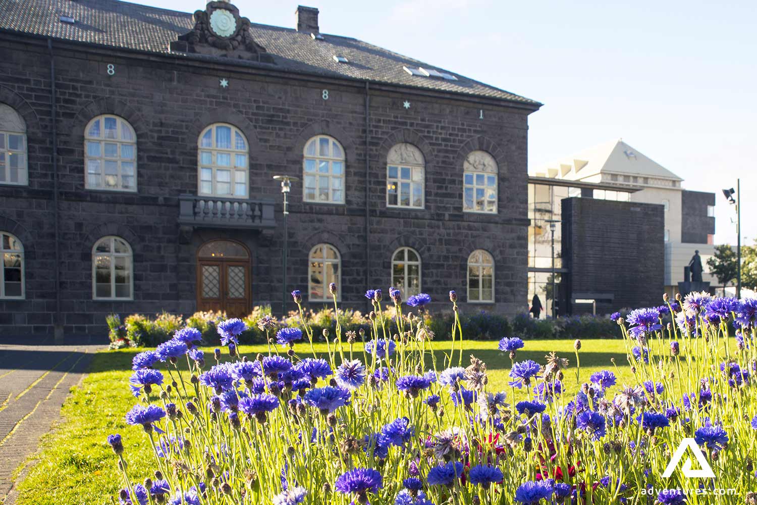icelandic parliament building