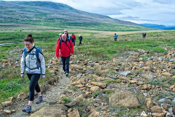 Travelers Hike in Gros Morne